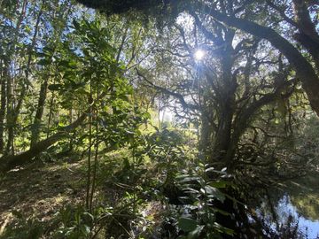 Terreno con borde río