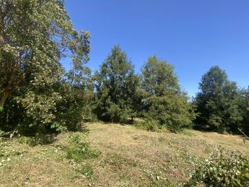 Terreno borde Lago Ranco 4,2 Há