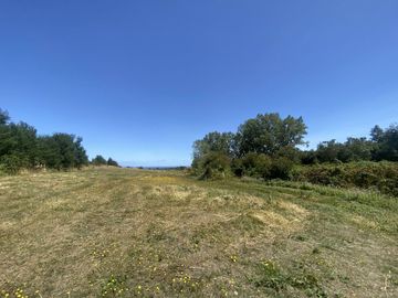 Terreno borde Lago Ranco 4,2 Há