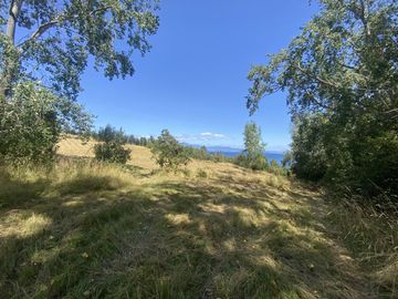 Terreno borde Lago Ranco 4,2 Há