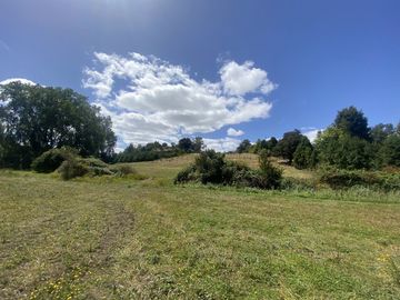 Terreno borde Lago Ranco 4,2 Há
