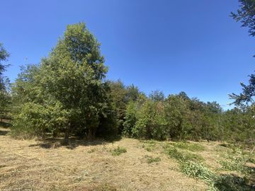 Terreno borde Lago Ranco 4,2 Há