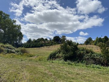 Terreno borde Lago Ranco 4,2 Há