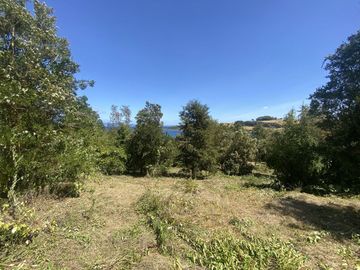Terreno borde Lago Ranco 4,2 Há