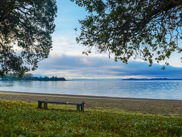 parcela con vista al Lago Ranco