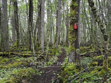Parcelas en Timaukel, Tierra del Fuego, Patagonia Chilena