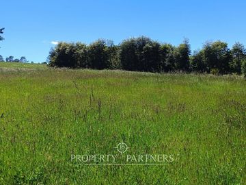 Exclusivo sitio con acceso a playa a pasos del Lago Panguipulli