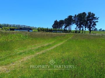 Exclusivo sitio con acceso a playa a pasos del Lago Panguipulli