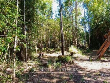 Complejo Turístico Equipado y Local Comercial Panguipulli. ¡Oportunidad de Inversión!