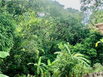 FINCA EN BONDA-SANTA MARTA
