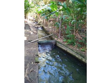 FINCA EN BONDA-SANTA MARTA