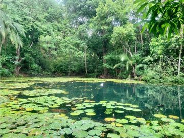 FINCA EN BONDA-SANTA MARTA