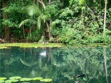 FINCA EN BONDA-SANTA MARTA