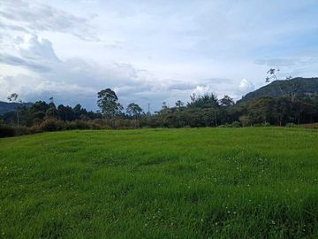 LOTE EN VENTA UBICADO EN LA CEJA SECTOR VEREDA EL YARUMO