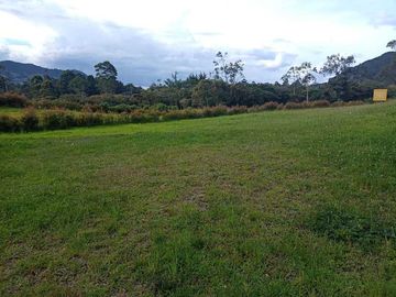 LOTE EN VENTA UBICADO EN LA CEJA SECTOR VEREDA EL YARUMO