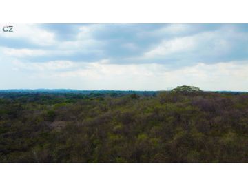 Venta de finca en El Higo de Santiago de Veraguas.