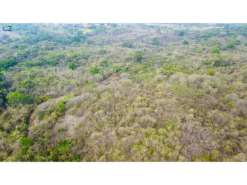 Venta de finca en El Higo de Santiago de Veraguas.