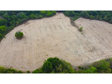 Venta de finca en El Higo de Santiago de Veraguas.