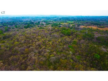 Venta de finca en El Higo de Santiago de Veraguas.