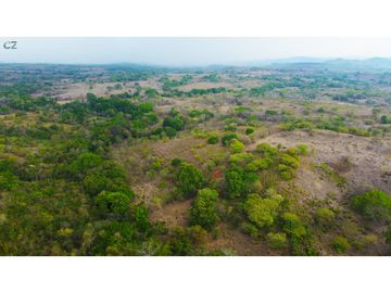 Venta de finca en El Higo de Santiago de Veraguas.