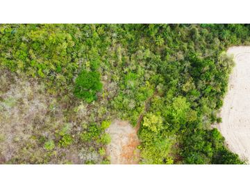 Venta de finca en El Higo de Santiago de Veraguas.