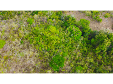 Venta de finca en El Higo de Santiago de Veraguas.
