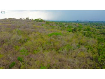 Venta de finca en El Higo de Santiago de Veraguas.