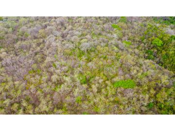 Venta de finca en El Higo de Santiago de Veraguas.