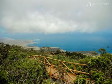 Sitio en Venta en Sector Talinay Bajo