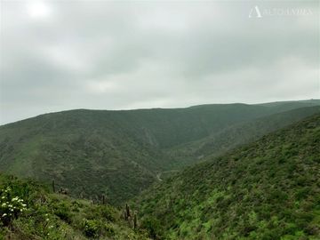 Sitio en Venta en Sector Talinay Bajo