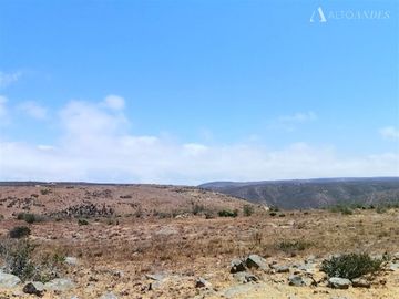 Sitio en Venta en Sector Talinay Bajo