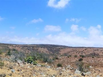 Sitio en Venta en Sector Talinay Bajo