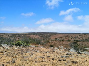Sitio en Venta en Sector Talinay Bajo