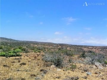 Sitio en Venta en Sector Talinay Bajo