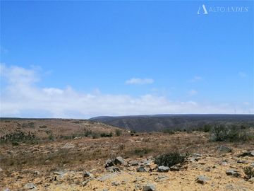 Sitio en Venta en Sector Talinay Bajo