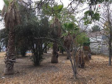 Hermosa casa con amplio terreno, excelente ubicación,  La R