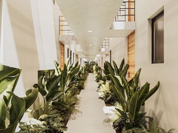 Departamentos(Loft A) en Venta en Malta en Temozón Norte