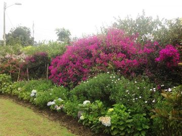 FINCA en VENTA en Tabio Vereda Carrasquilla