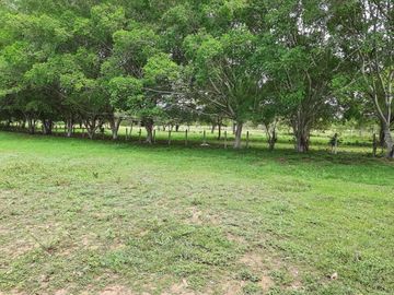FINCA en VENTA en Nilo Picilago