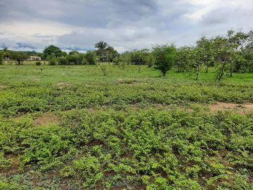 FINCA en VENTA en Nilo Picilago