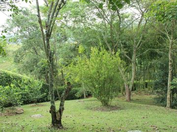 CASA CAMPESTRE en VENTA en Arbeláez Vereda San Roque