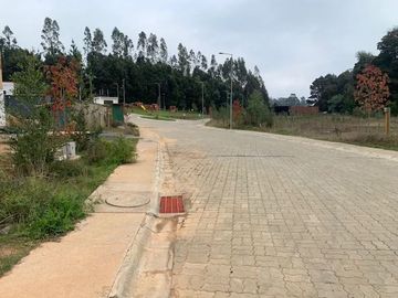 Sitio en Venta en Pingueral