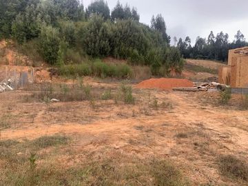 Sitio en Venta en Pingueral