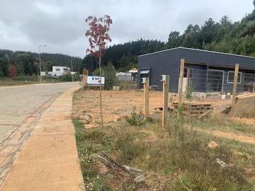 Sitio en Venta en Pingueral