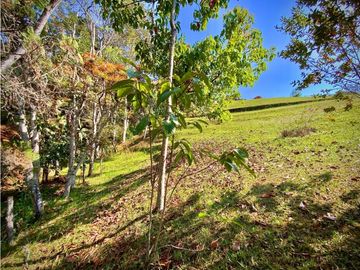 Venta Finca Parcelacion La Ceja Espectacular Vista