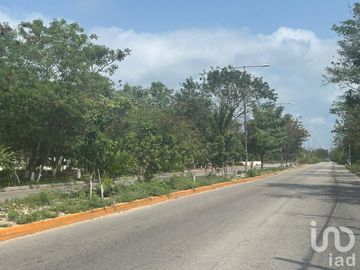 Terreno excelente para invesion 71 hectareas propia para desarrolladores gran oportunidad