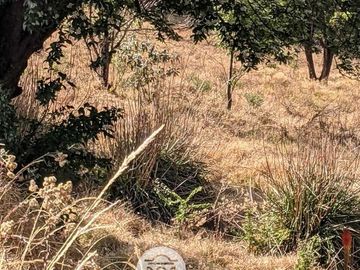 Venta Terreno, Santiago Tianguistengo, Junto a Río