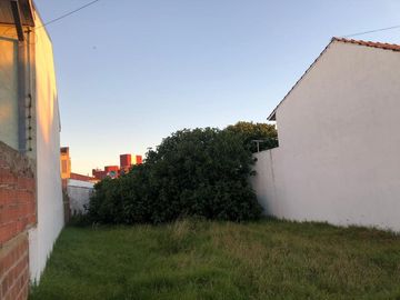 lote