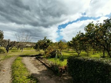 BAJO SU VALOR!! CASA QUINTA EN VENTA EN LA PEREGRINA, SIERRA DE LOS PADRES