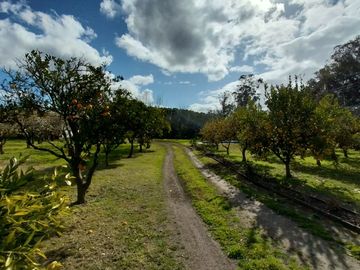 BAJO SU VALOR!! CASA QUINTA EN VENTA EN LA PEREGRINA, SIERRA DE LOS PADRES